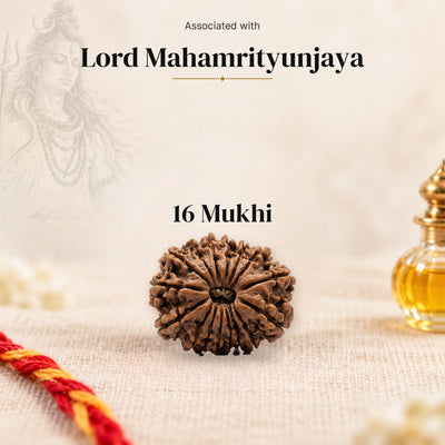 16 Mukhi Nepal Rudraksha bead on beige linen with moli thread and oil bottle and a faded sketch of Lord Mahamrityunjaya.