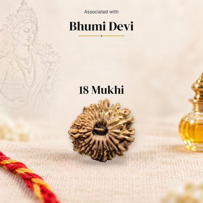 18 Mukhi Nepal Rudraksha bead on beige linen with moli thread and oil bottle, faded sketch of Bhumi Devi, associated with Bhumi Devi.