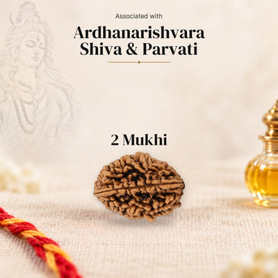 2 Mukhi Rameshwaram Rudraksha bead on beige linen with moli thread and oil bottle, faded sketch of Ardhanarishvara, associated with Ardhanarishvara.
