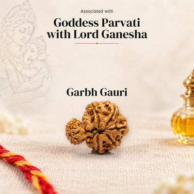 Garbh Gauri Nepal Rudraksha bead on beige linen with moli thread and oil bottle and a faded sketch of Goddess Parvati with Lord Ganesha.