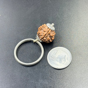6 Mukhi