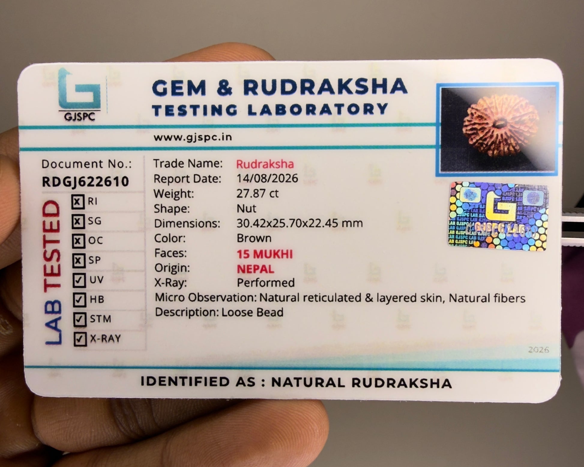 Gem and Rudraksha testing laboratory document showing natural rudraksha details and 15 Mukhi
