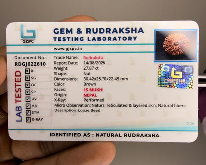 Gem and Rudraksha testing laboratory document showing natural rudraksha details and 15 Mukhi