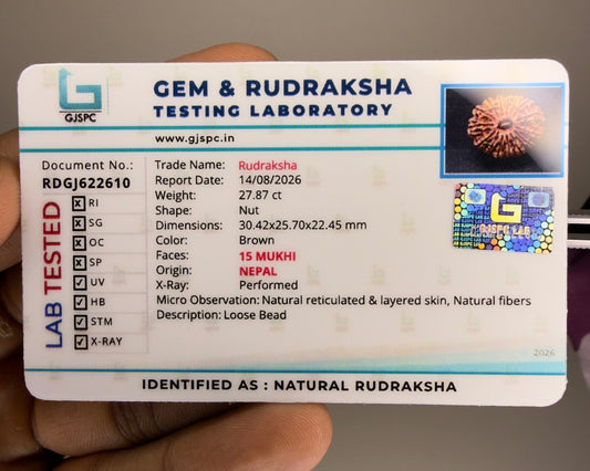Gem and Rudraksha testing laboratory document showing natural rudraksha details and 15 Mukhi