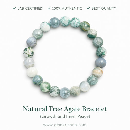 Natural Tree Agate Bracelet (Growth and Inner Peace) premium GemKrishna product cover